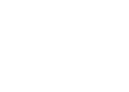 Ameristar Logo